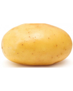 Potato